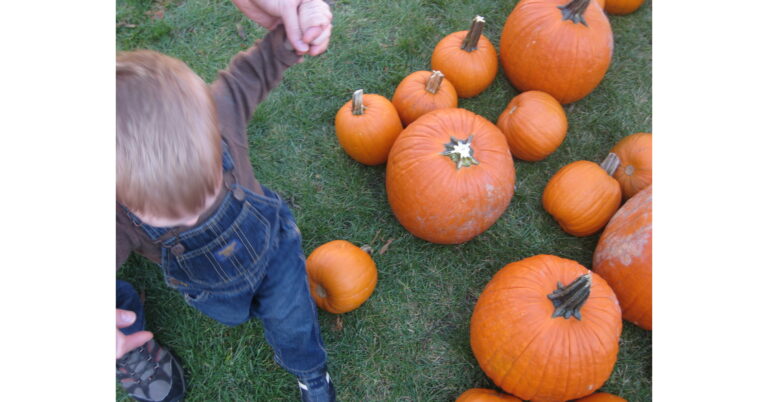 Discover Top Family Activities for Kids Across the U.S. on Upparent