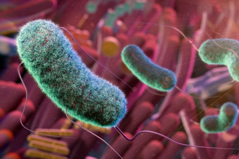 Revolutionary Smart Pill Allows Doctors to Examine Your Gut Internally