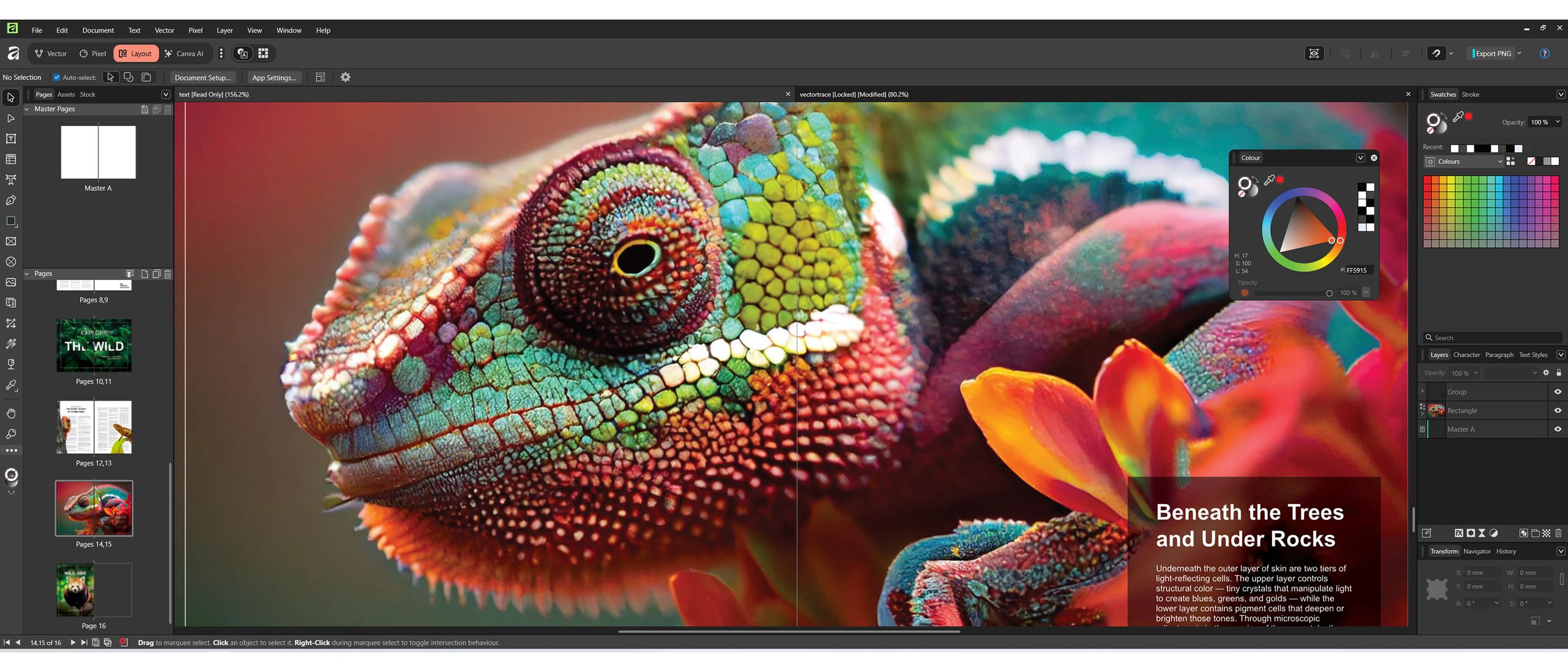 Affinity Suite Updates: Creative Apps Go Free Under New Ownership