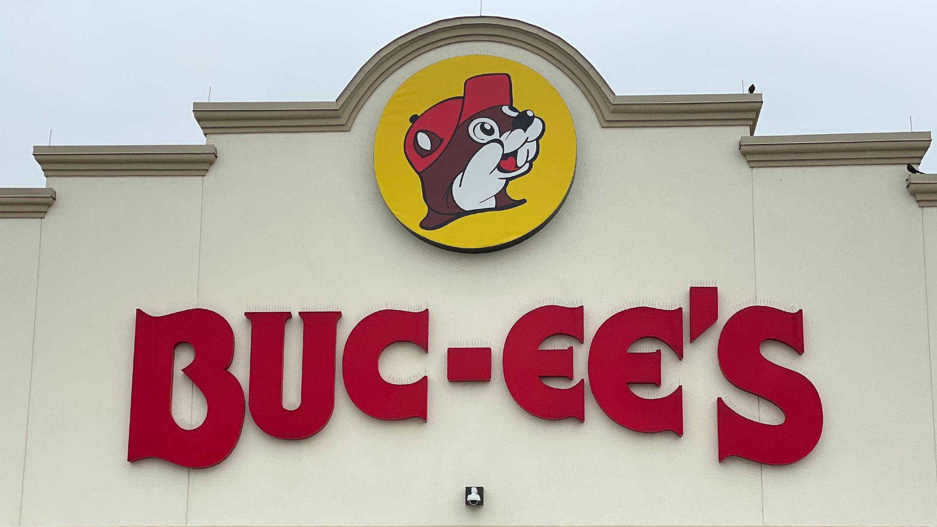 Buc-ee’s Logo Dispute: A Heated Clash of Rodent Rivalry
