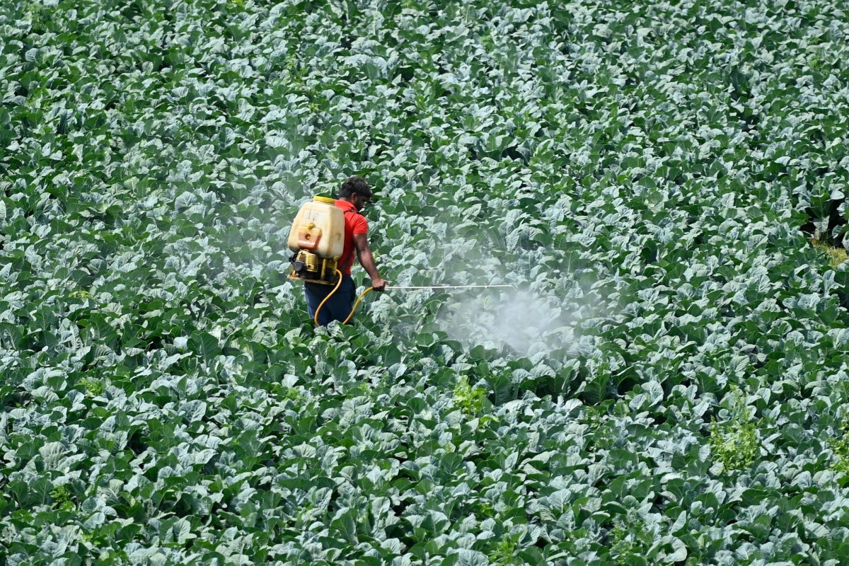 Teen Entrepreneurs Secure $6M for AI-Powered Pesticide Innovation