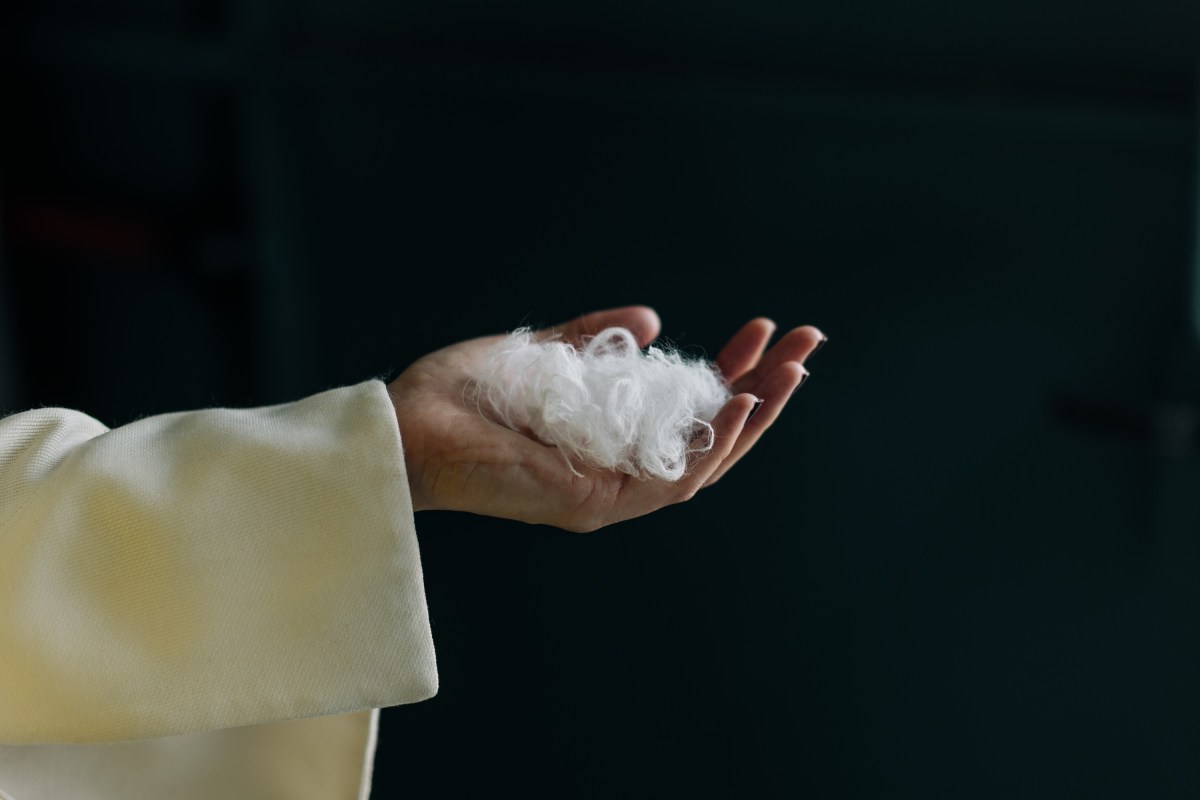 Everbloom Develops AI to Transform Chicken Feathers into Cashmere