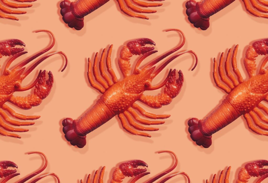 Essential Guide to the Viral AI Assistant Clawdbot (Moltbot)