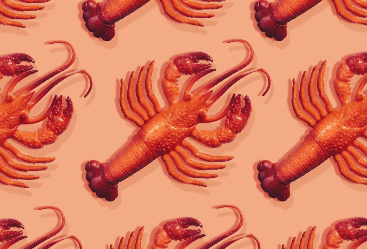 Essential Guide to the Viral AI Assistant Clawdbot (Moltbot)