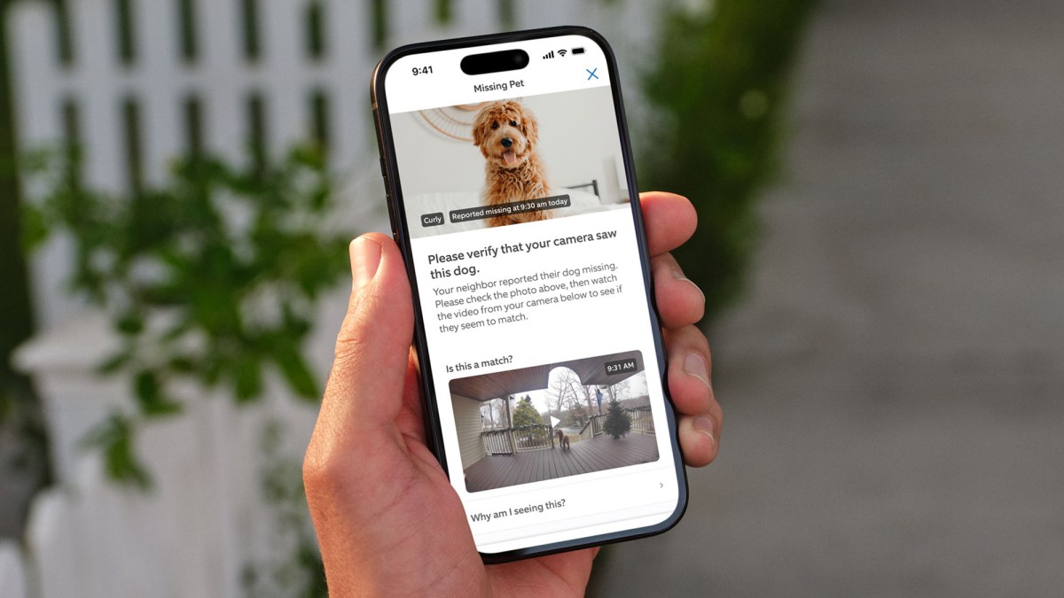 Ring Launches ‘Search Party’ Feature for All Dog Owners
